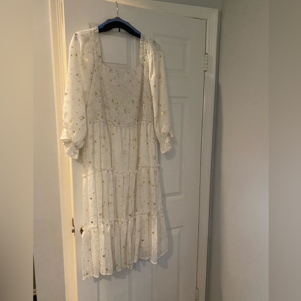 Ivy City Co 3x Dress